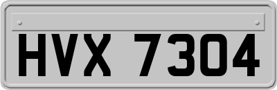 HVX7304