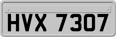 HVX7307