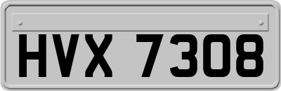 HVX7308