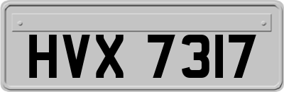 HVX7317