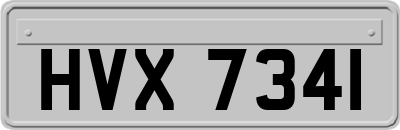 HVX7341