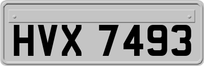 HVX7493