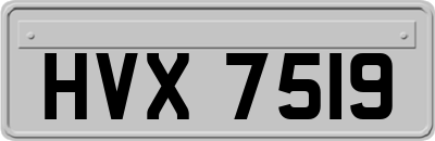 HVX7519