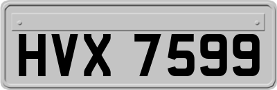 HVX7599