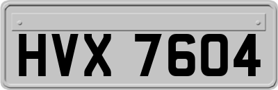 HVX7604