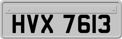 HVX7613