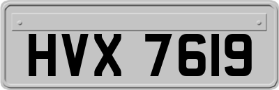 HVX7619