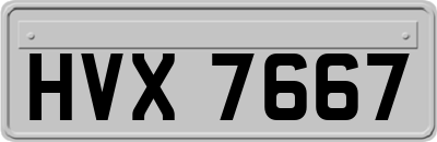 HVX7667