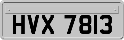 HVX7813