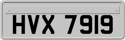 HVX7919