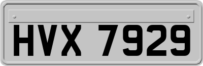 HVX7929