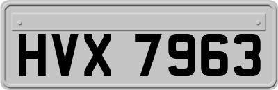 HVX7963