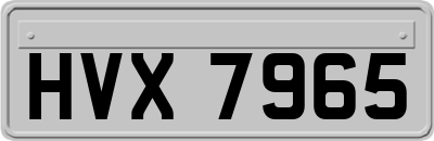 HVX7965