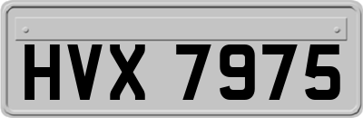 HVX7975