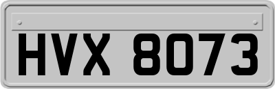 HVX8073
