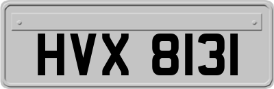 HVX8131