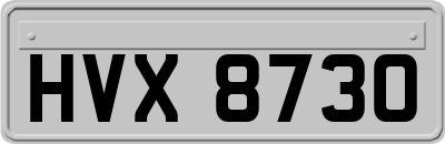 HVX8730