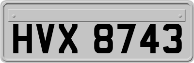 HVX8743