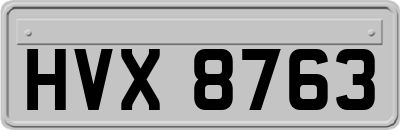 HVX8763