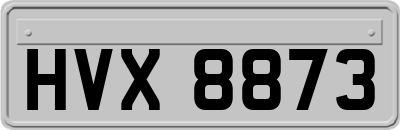 HVX8873