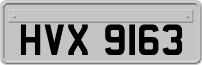 HVX9163