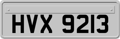 HVX9213