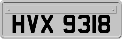 HVX9318