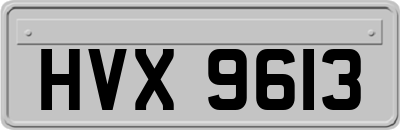 HVX9613