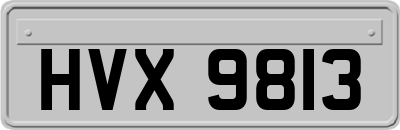 HVX9813