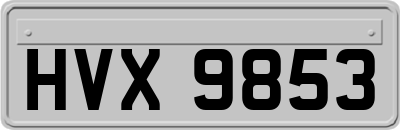 HVX9853