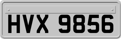 HVX9856