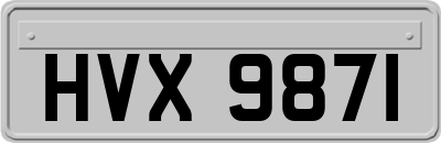 HVX9871