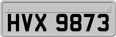 HVX9873