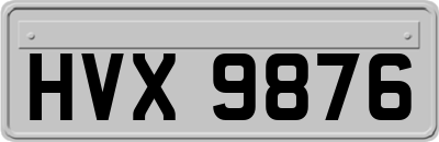 HVX9876