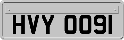 HVY0091