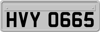 HVY0665