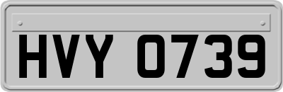 HVY0739
