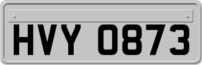 HVY0873