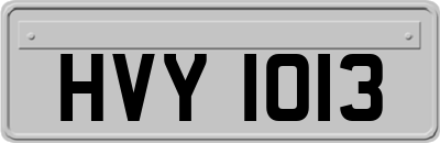 HVY1013