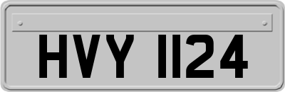 HVY1124