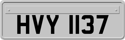 HVY1137