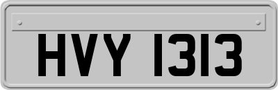 HVY1313
