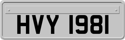 HVY1981