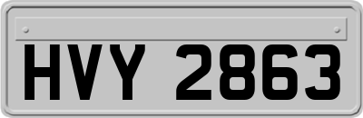 HVY2863