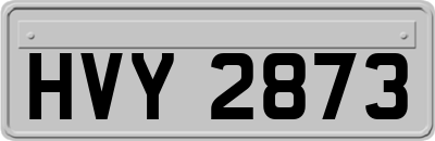 HVY2873