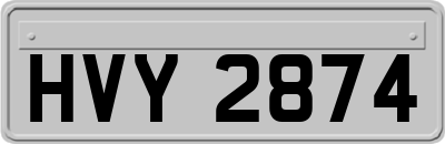 HVY2874