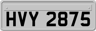 HVY2875