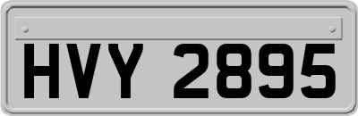 HVY2895