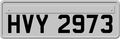HVY2973