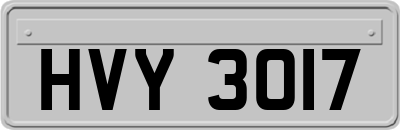 HVY3017